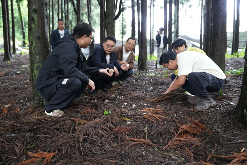 工作人员正在指导村民。