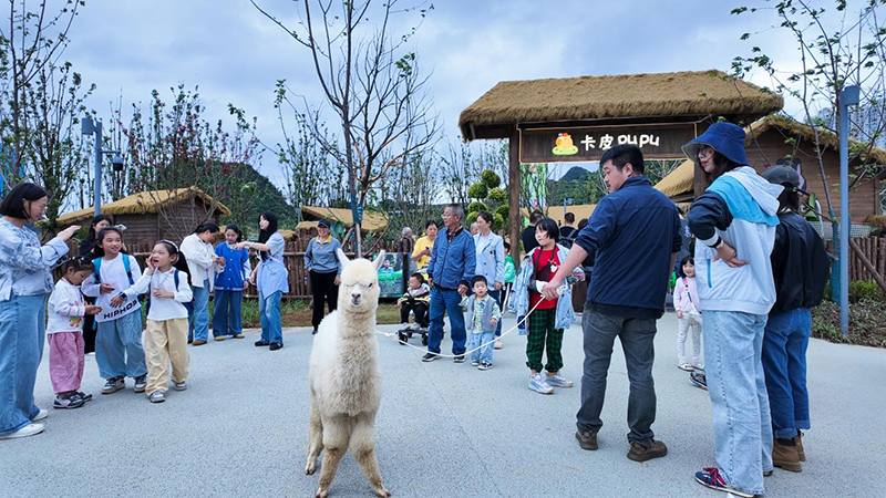 萌寵巡游。“幻花樣young”項目供圖