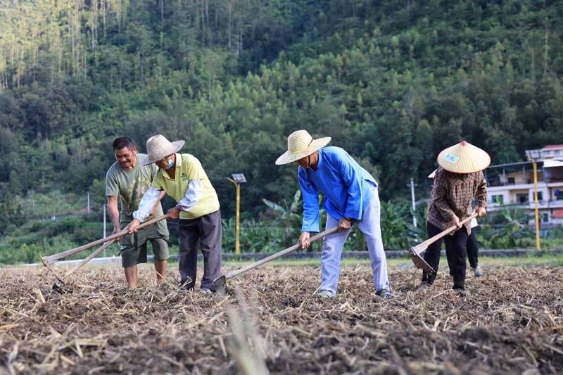 村民們在掏廂、起隴.jpg