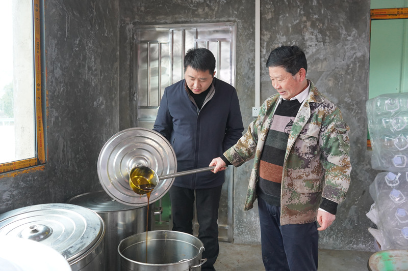 金沙县人大代表陈静在安底镇老场村茅金菇小榨油加工厂看现榨的小菜油。黄源汇摄