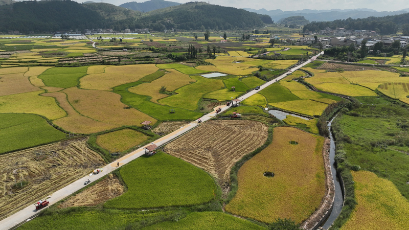湾滩河镇翠微村粮食坝区。