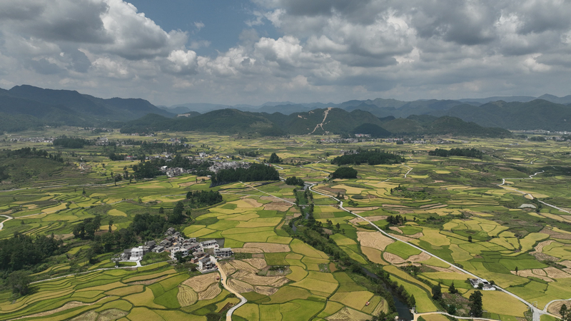 湾滩河镇翠微村粮食坝区。
