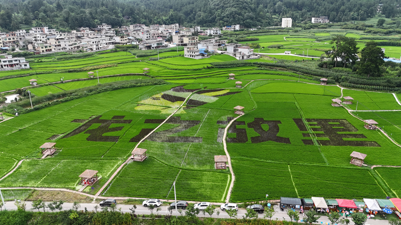 龙里县龙山镇余下村村景。