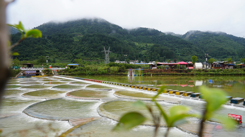 龙里县龙山镇余下村鱼麟坝。