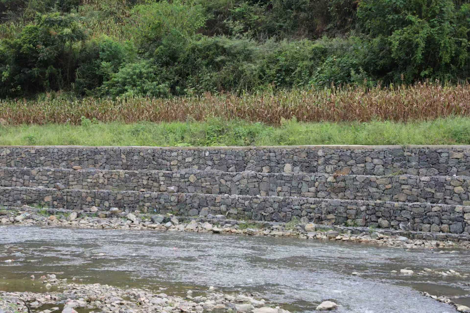 加固的堤防护岸.彭垚摄