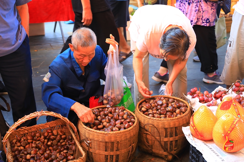 顾客正在挑选板栗。 吴麟钦 摄
