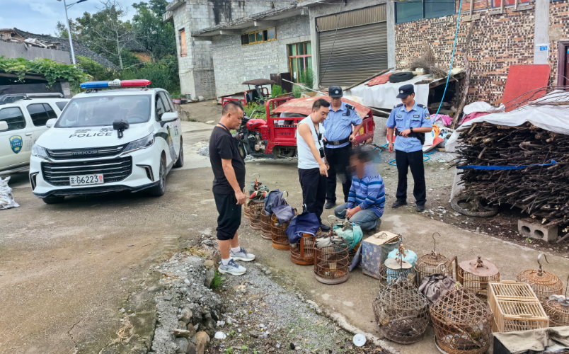 采取强制措施！注意，这些鸟类不可非法捕捉、买卖、运输和饲养！