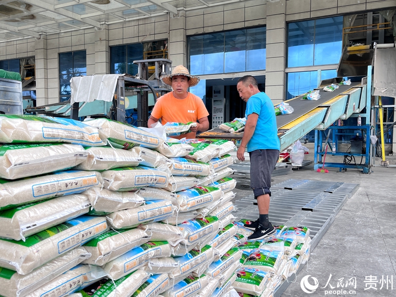 一袋袋成品香米從車間經由搬運輸送機陸續出庫。人民網 陳潔泉攝 .jpg