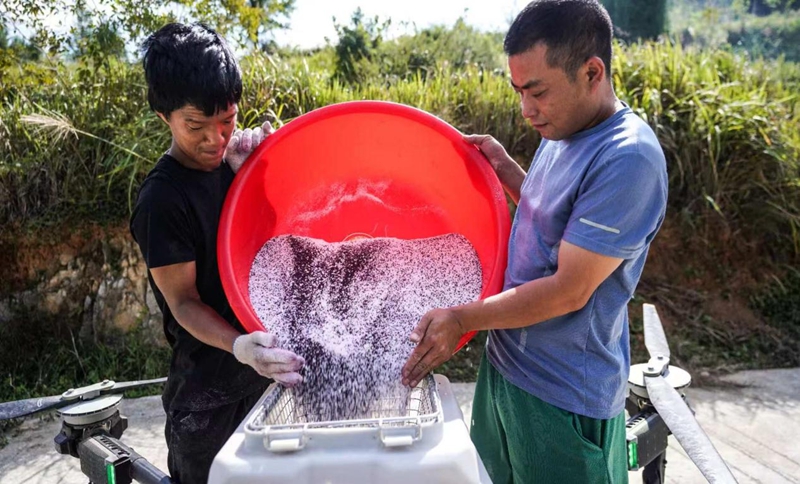 贵州沿河：9.45万亩油菜播种忙 农机农技助秋播.jpg