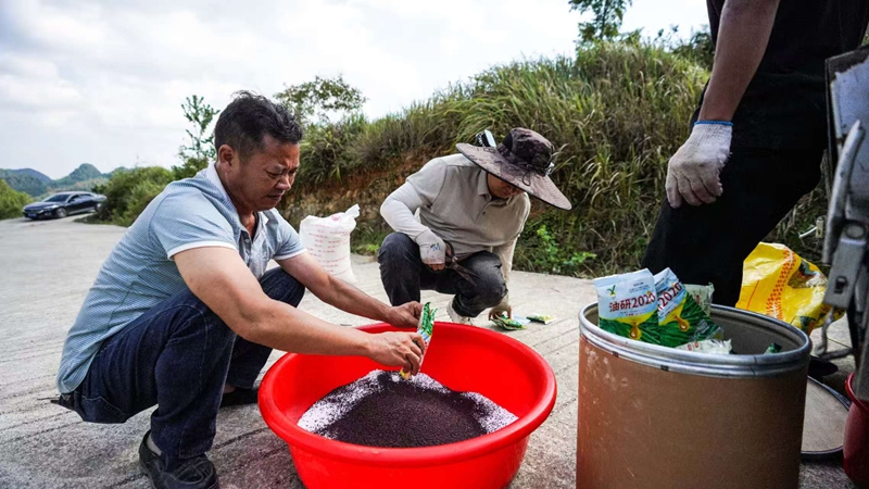 沿河9.45万亩油菜播种忙，农机农技助秋播。