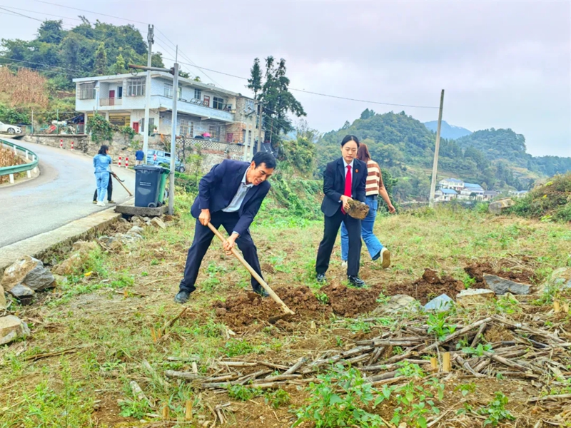 1、习酒环保法庭的法官挽起袖子，与村干部、当事人一同挥锄挖沟、搬运石块。