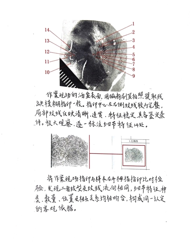 4、这是杨小宇比中的3405起案件中的一起，也是她10多年指纹比对工作的一帧普通的剪影。
