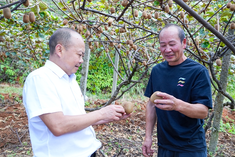 4、客戶經理了解種植情況。