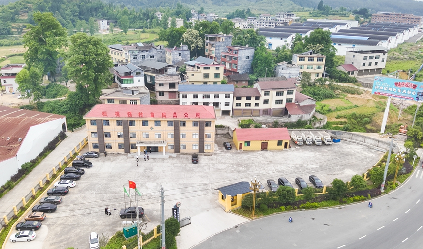 鬆桃自治縣去強村富民總公司。任濤攝