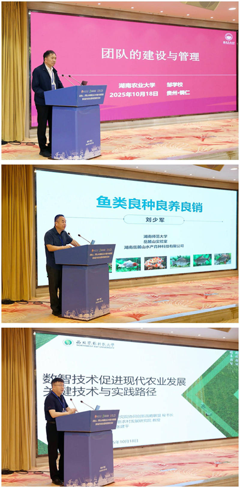 主旨报告。