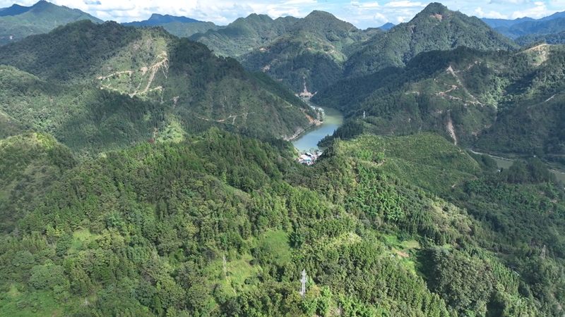 網絡科技賦能養殖業，大山深處駛上智慧快車。