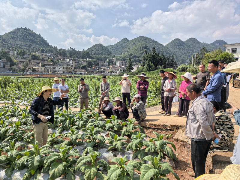 试验田田间课堂现场。