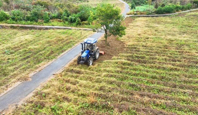 1、秋冬種現場。.jpg