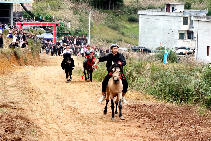 赛马、欢歌、舞龙……贵州独山县玉水镇端节氛围感拉满。