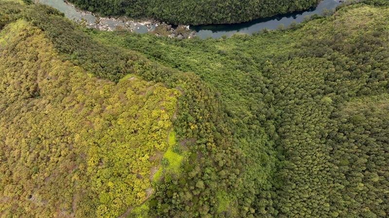 罗甸秋日一景。