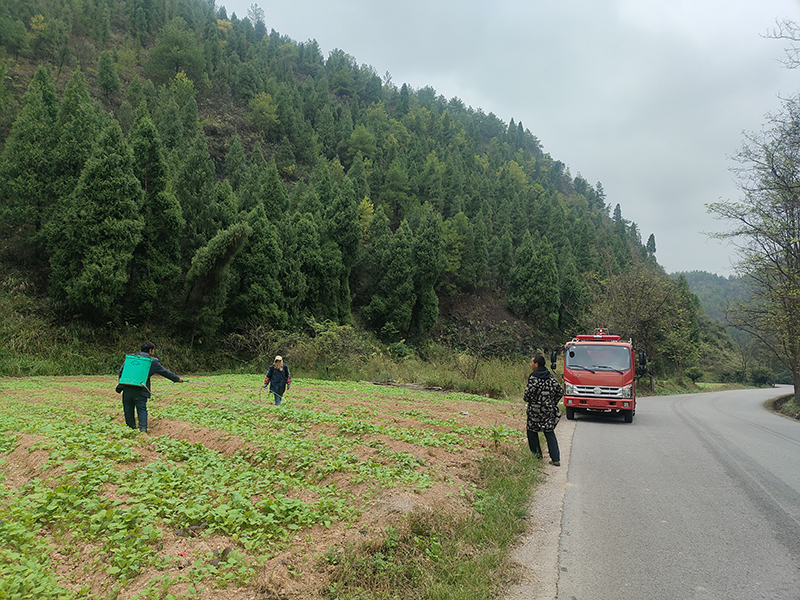 農戶們用消防車送來的水澆灌菜地。
