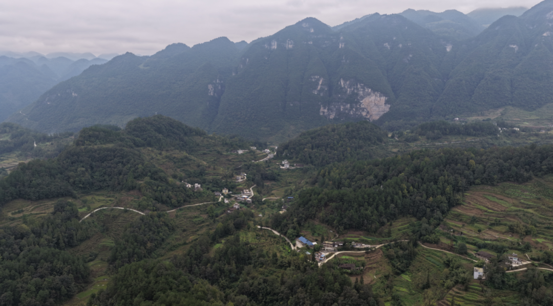 圖為蕉壩鎮新茶村航拍。鄒琴印攝