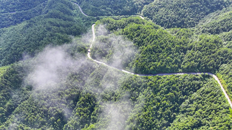 梵淨山加強文化遺產保護利用推進文旅融合發展。