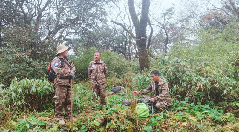 贵州梵净山保护区发现新物种。