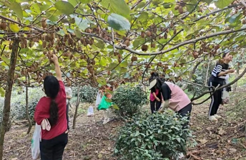 独山县影山镇：“三拓宽”赋能乡村振兴。