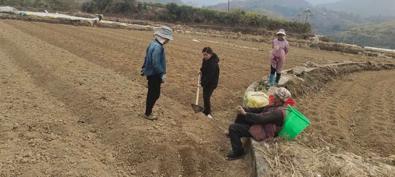 農技人人員到田間開展油菜種植指導.jpg
