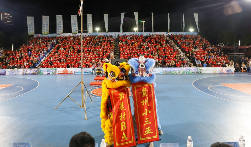 节目《醒狮献吉祥》.jpg