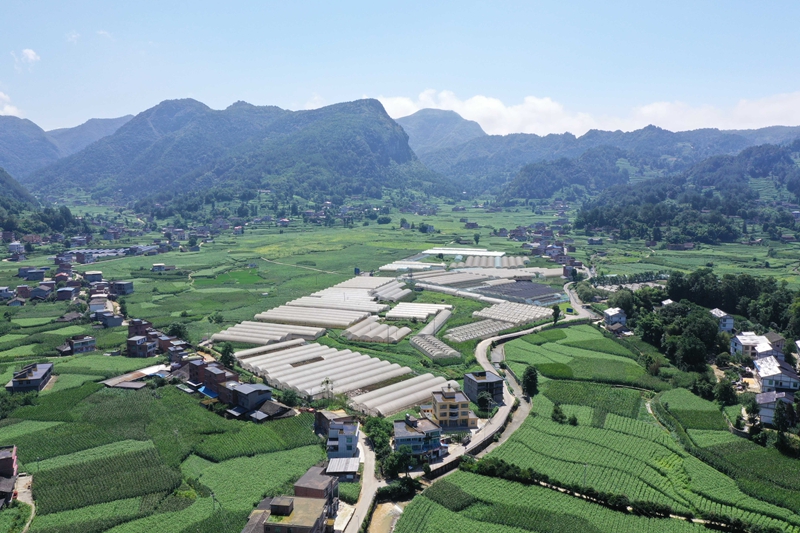 4、吼滩蔬菜基地的航拍。刁苓沙 摄.jpg