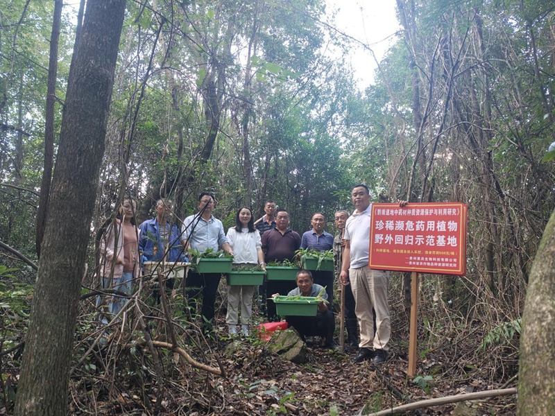 珍稀濒危药用植物野外回归示范基地“落户”独山县上司镇学庄村。