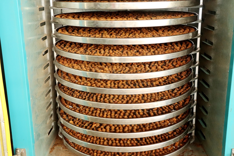 当刺梨遇上红茶 贵州独山解锁特色产业多元新图景。