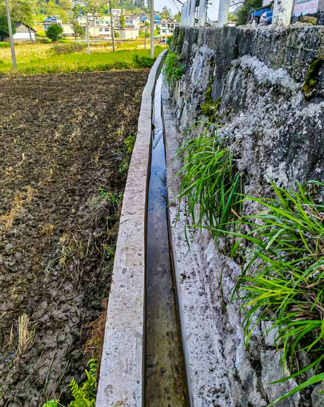 項目通水照片。