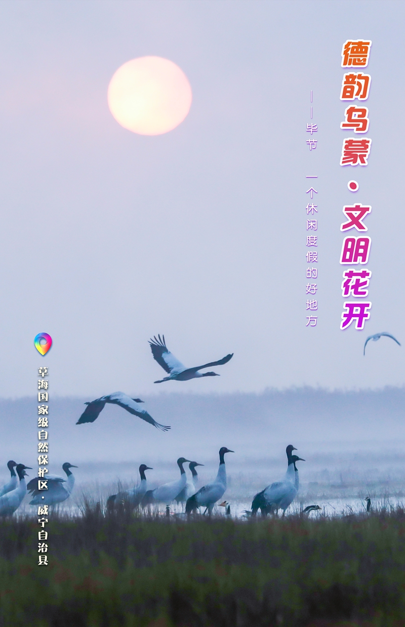 发旅游：一周一图 贵州毕节：草海国家级自然保护区·威宁自治县 毕节市委宣传部供图.jpg