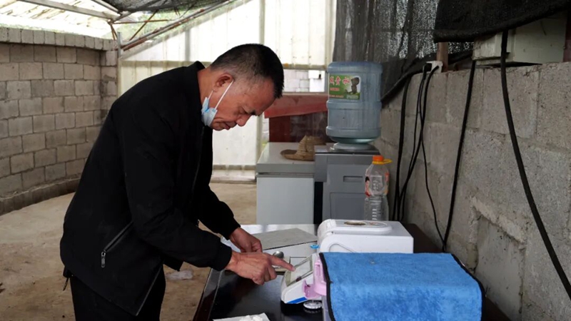 松桃木树镇：畜禽粪便“变身”有机肥 循环农业激活绿色发展新动能。