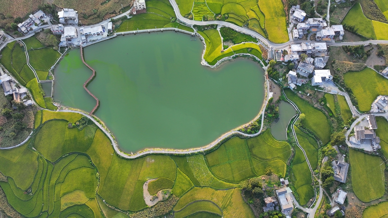 黃泥鄉朝門村。
