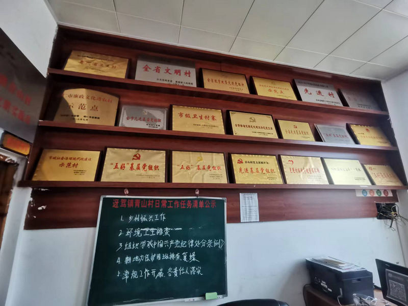 贵州松桃:蛋鸡铺出“金”路子。
