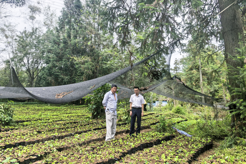 金融服務進基地。