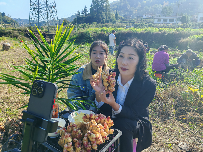 “党建+直播”破解黄姜滞销难题。