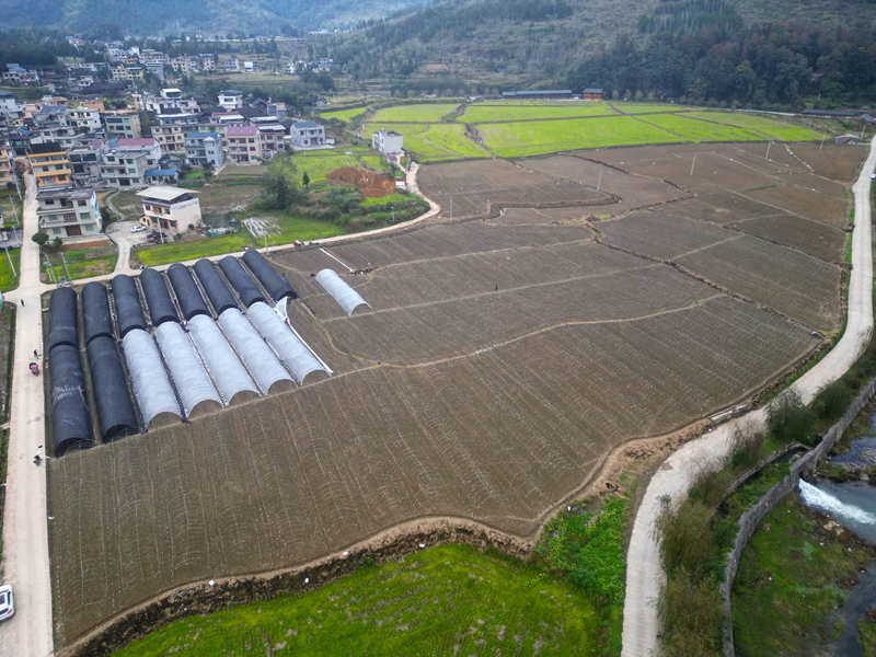 松桃长征村：勇闯产业振兴“长征”路。