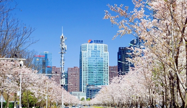 “九局方案”讓城市更新有裡有面更有范兒