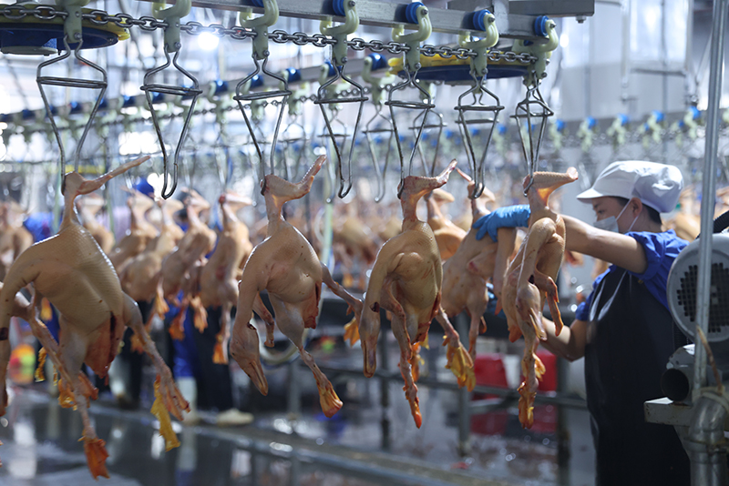 “后厂”生产车间.