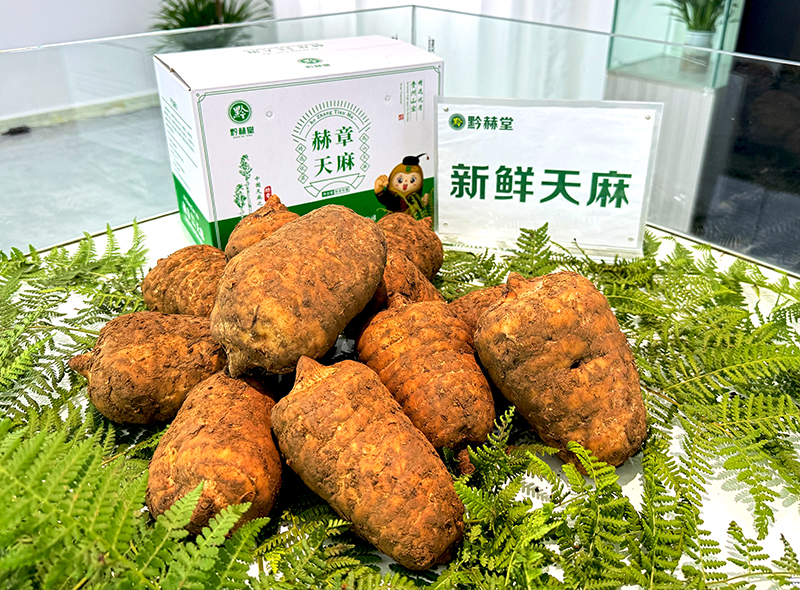 赫章天麻展品。张佳佳摄