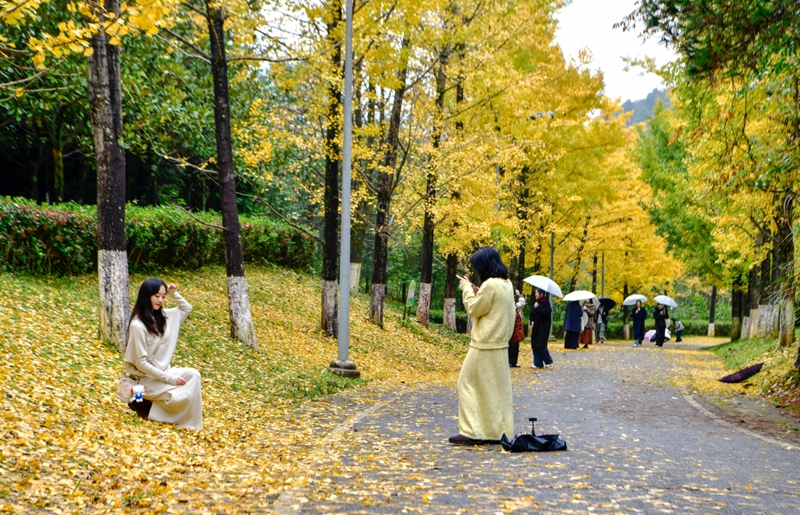 4、 市民纷纷拍照打卡, 留住美景。张婷摄.jpg