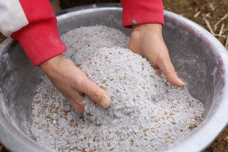 七星关区双山镇田间地头，农户们正抓紧晴好天气开展小麦种植工作 廖槐花 摄9.JPG