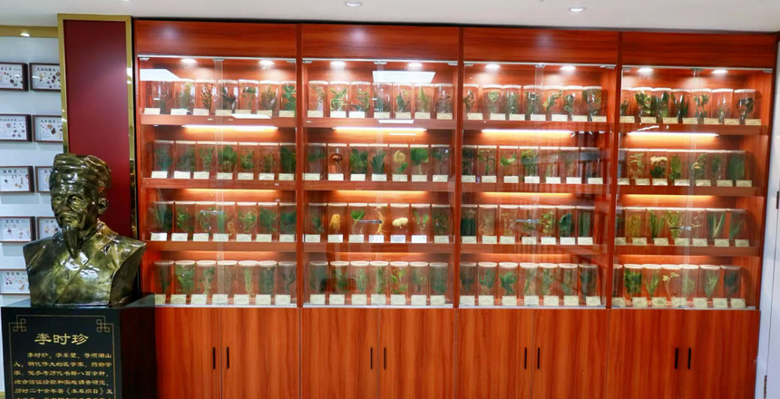 中药活体标本展示区。
