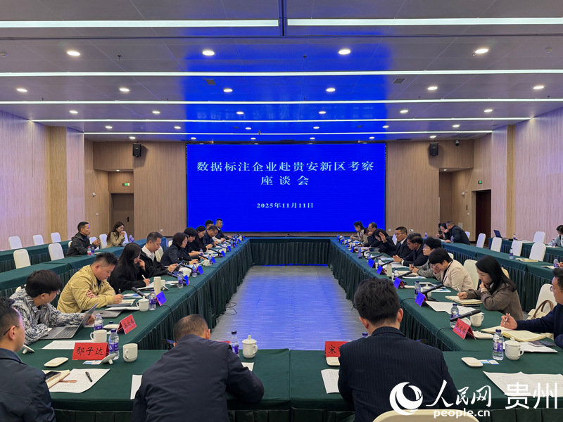 座谈会现场。 贵州省大数据局供图