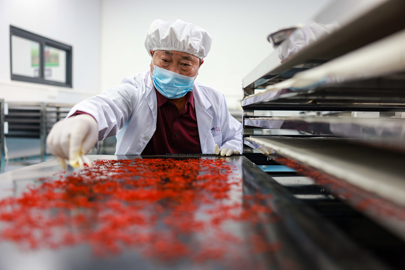 贵州省铜仁市玉屏侗族自治县朱家场镇茅坡村村民在烘烤藏红花丝。